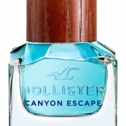 HOLLISTER CANYON ESCAPE HOMBRE